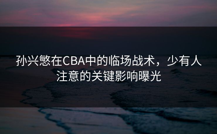 孙兴慜在CBA中的临场战术，少有人注意的关键影响曝光